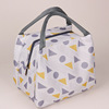 Insulated Lunch & Cooler Bag Color reference 07 color SKU reference