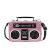 Retro Radio-Shaped PU Crossbody Bag with Sequin Detail Rose Pink color SKU reference