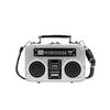 Retro Radio-Shaped PU Crossbody Bag with Sequin Detail Silver color SKU reference