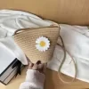 Daisy-Detail Woven Mini Bucket Crossbody Bag Option 03 color SKU reference
