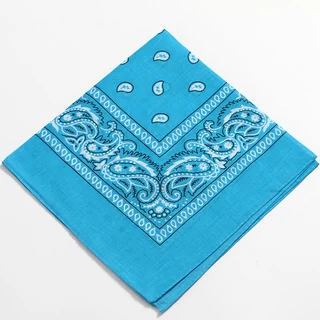 Paisley Handbag, Bucket Hat & Scarf Set Scarf design 17 SKU overview reference